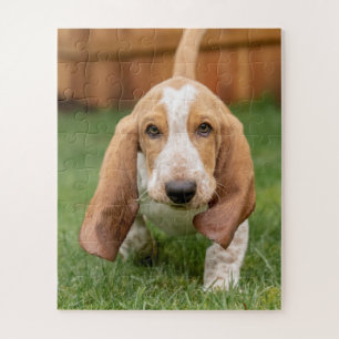 Puzzle Cachorro Basset Hound Caminando