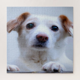 Puzzle Cachorro Blanco Adorable
