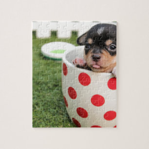Puzzle cachorro chihuahua negro en una taza roja