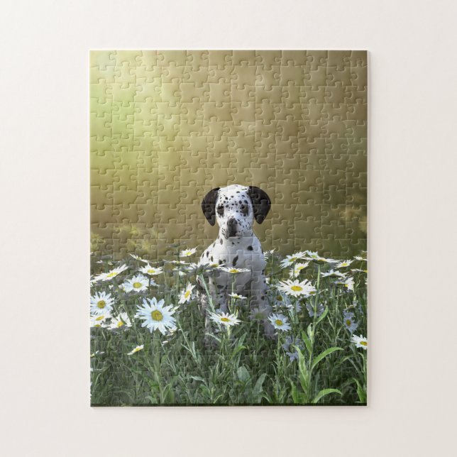 Puzzle Cachorro dálmata lindo en margaritas (Vertical)