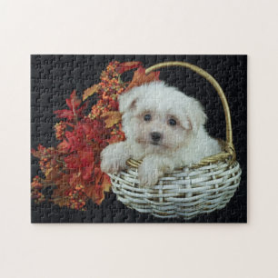 Puzzle Cachorro de caída