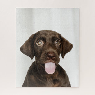 Puzzle Cachorro de chocolate Brown Lab