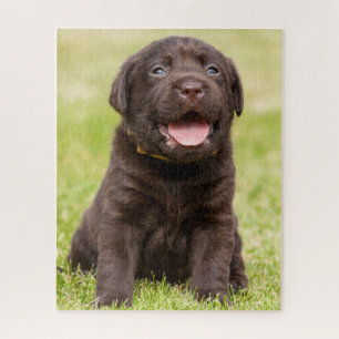 Puzzle Cachorro de Chocolate Lab