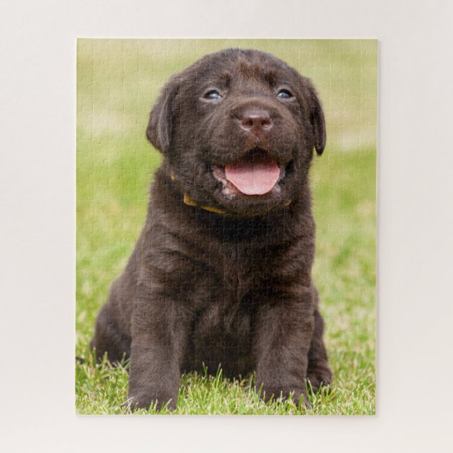 Puzzle Cachorro de Chocolate Lab (Vertical)