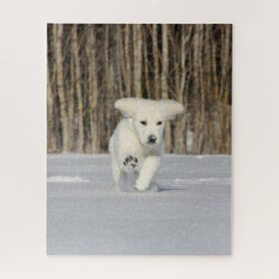 Puzzle Cachorro de cobre blanco en nieve