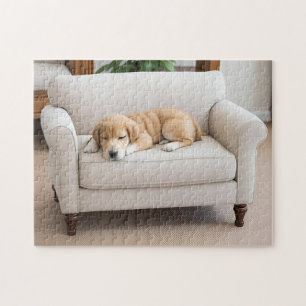 Puzzle Cachorro de Golden Retriever Durmiendo
