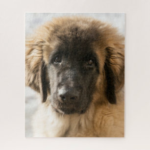 Puzzle Cachorro de Leonberger