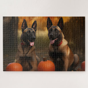 Puzzle Cachorro de Malinoi Belga Delicia de Otoño Calabaz