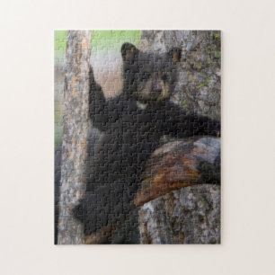 Puzzle Cachorro de osos negros descansando