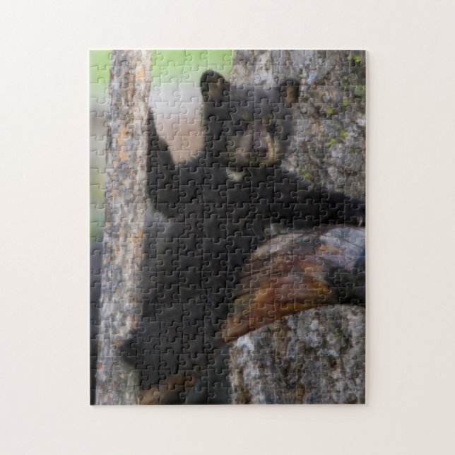 Puzzle Cachorro de osos negros descansando (Vertical)