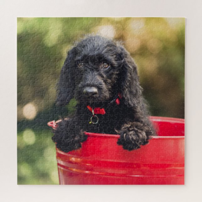 Puzzle Cachorro de perro negro en un cubo rojo (Horizontal)
