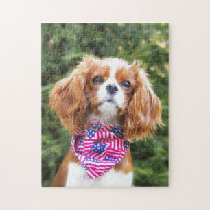Puzzle Cachorro de raza Cavalier King Charles con bandera