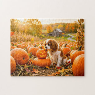 Puzzle Cachorro de spaniel en campo de calabazas de otoño