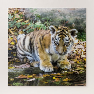 Puzzle Cachorro de Tigre Adorable
