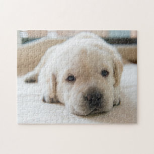 Puzzle Cachorro dorado dorado