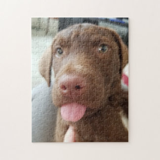 Puzzle Cachorro marrón