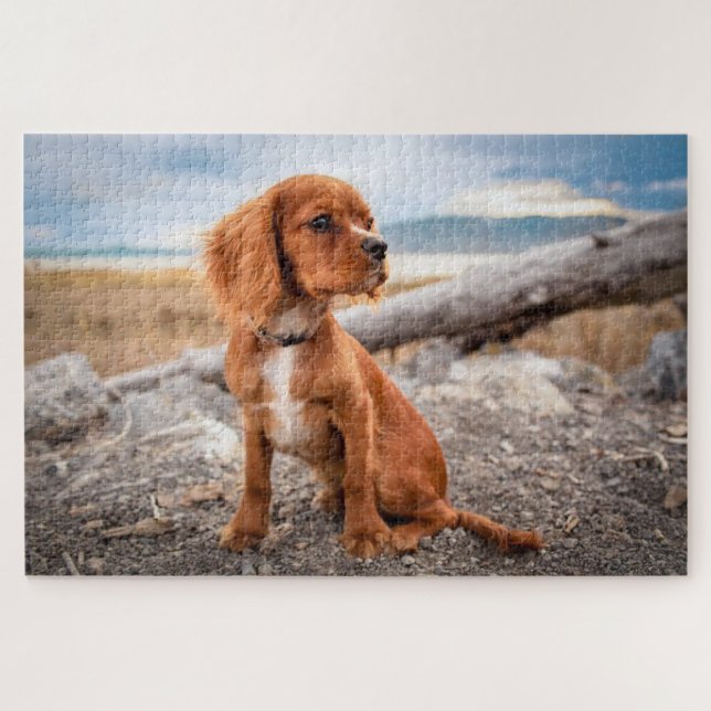 Puzzle Cachorro marrón mirando al aire libre (Horizontal)
