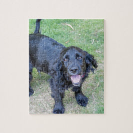Puzzle Cachorro negro