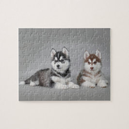 Puzzle Cachorros caseros siberianos
