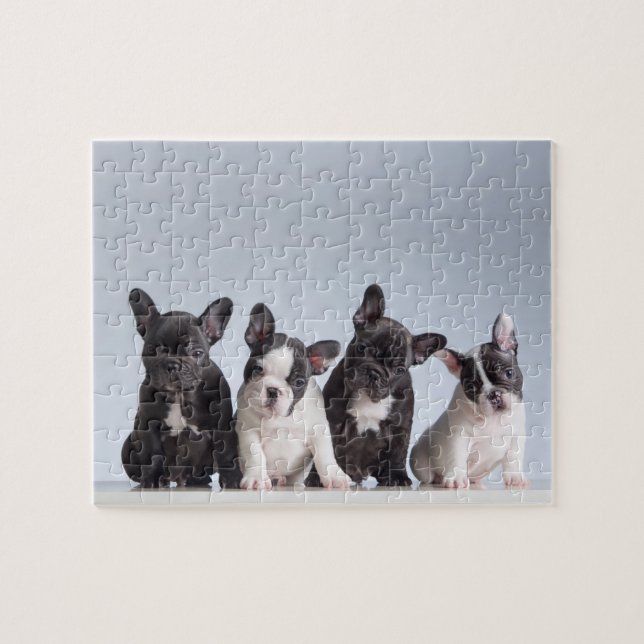 Puzzle Cachorros de Bulldog franceses (Horizontal)