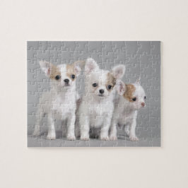 Puzzle Cachorros de Chihuahua