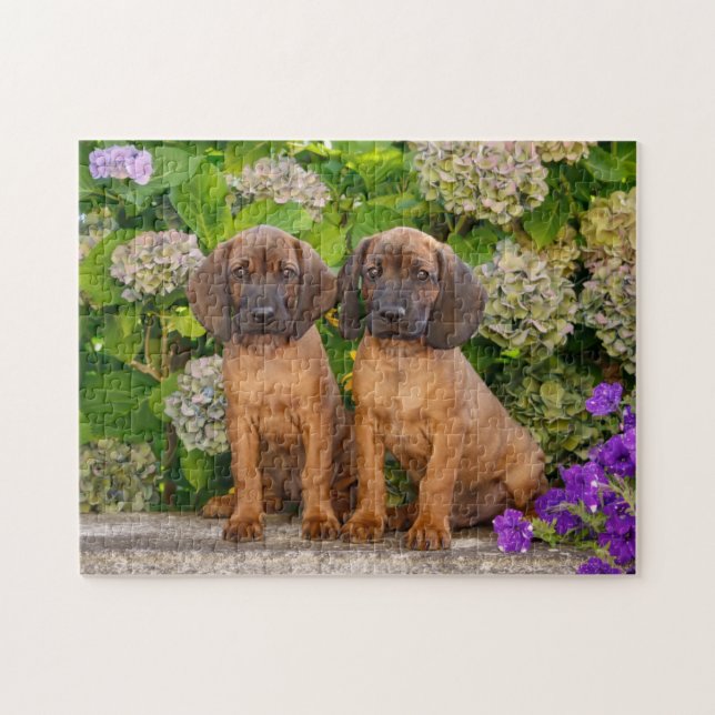 Puzzle Cachorros de montaña bávaros con flores (Horizontal)