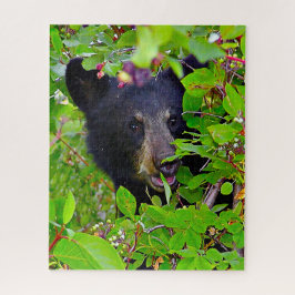 Puzzle Cachorros de oso negro.