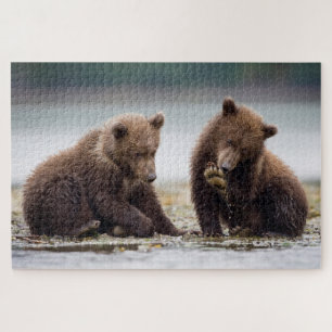 Puzzle Cachorros de oso pardo junto al arroyo
