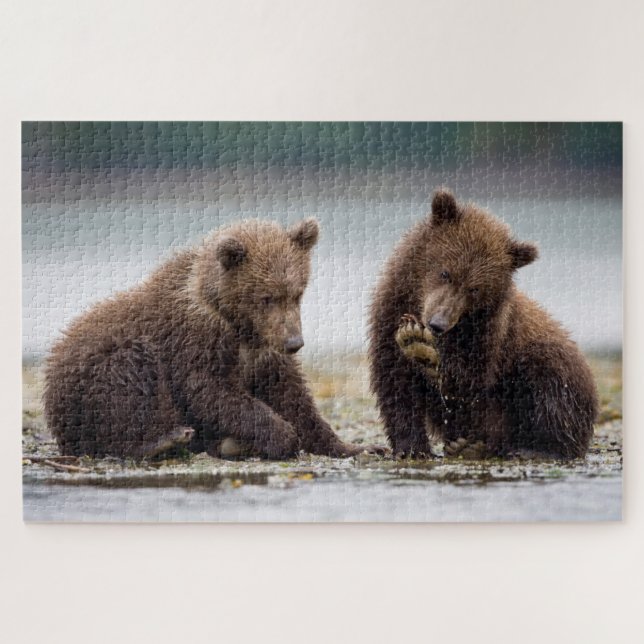 Puzzle Cachorros de oso pardo junto al arroyo (Horizontal)