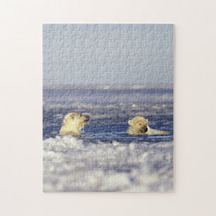 Puzzle Cachorros de oso polar jugando