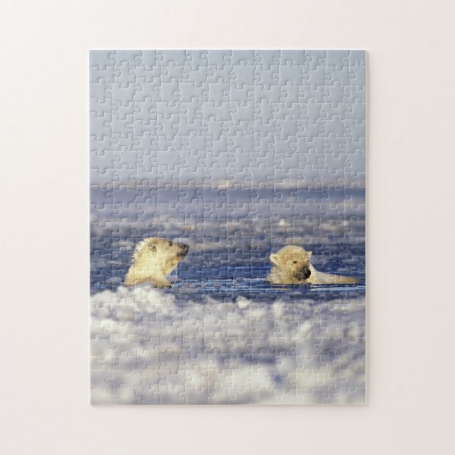 Puzzle Cachorros de oso polar jugando (Vertical)