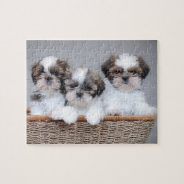 Puzzle Cachorros de Shih Tzu