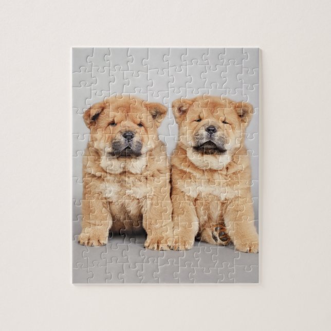 Puzzle Cachorros de vaca (Vertical)