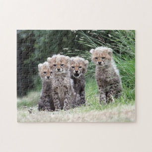 Puzzle Cachorros del guepardo