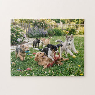 Puzzle Cachorros Lindos y Juguetones en el Jardín