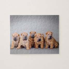 Puzzle Cachorros shar pei chinos