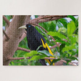 Puzzle Cacique Rumped Amarillo