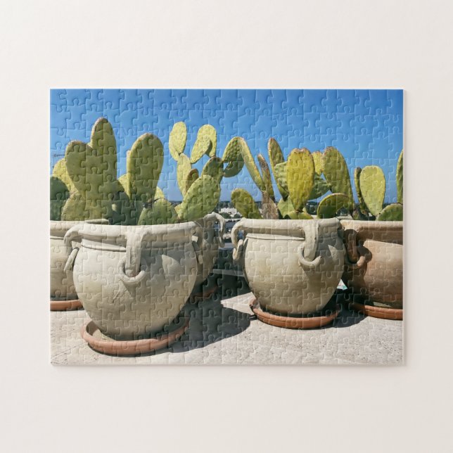 Puzzle Cacti en macetas de cerámica en Puglia, Italia (Horizontal)