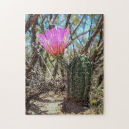 Puzzle cactus