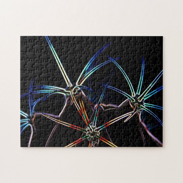 Puzzle Cactus 1 11x14 252pc jpcna (Horizontal)