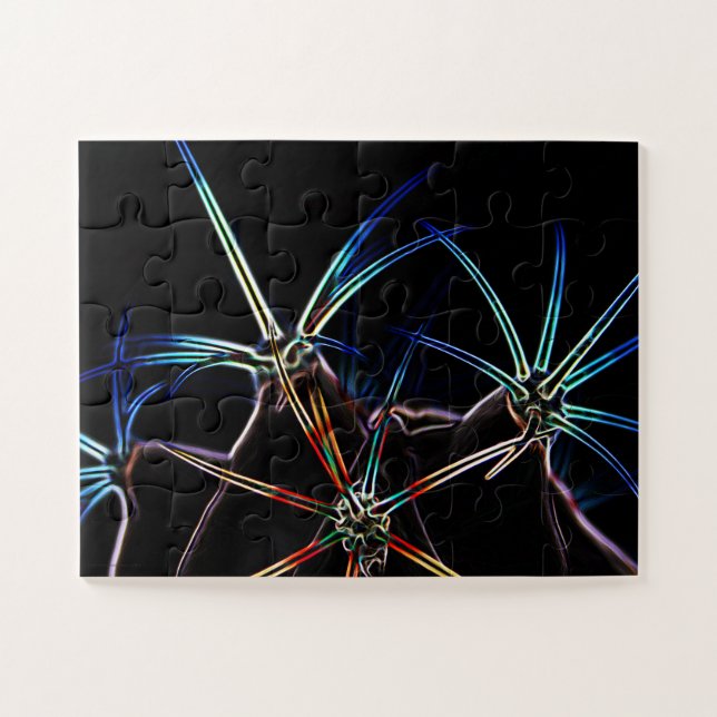 Puzzle Cactus 1 11x14 30pc jpcna (Horizontal)