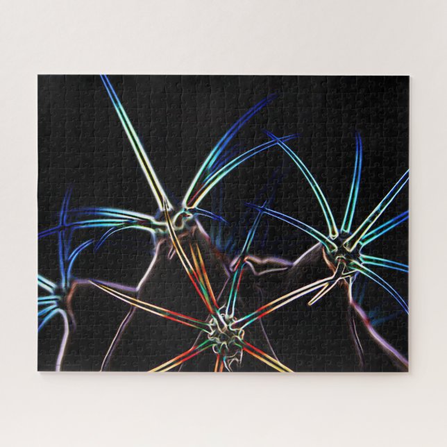 Puzzle Cactus 1 16x20 520pc jpcna (Horizontal)