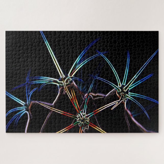 Puzzle Cactus 1 20x30 1014pc jpcna (Horizontal)