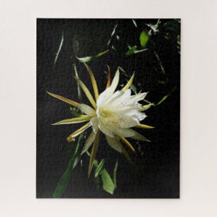 Puzzle Cactus Bloom