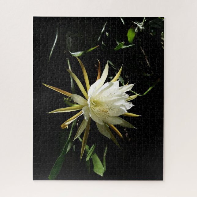Puzzle Cactus Bloom (Vertical)
