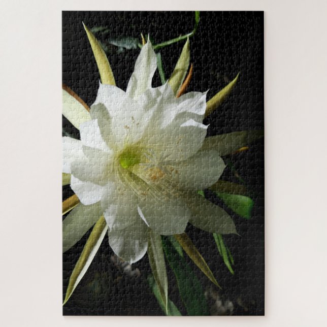 Puzzle Cactus Bloom (Vertical)