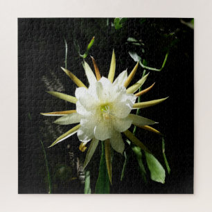 Puzzle Cactus Bloom
