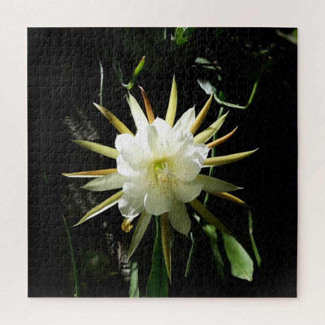 Puzzle Cactus Bloom (Vertical)