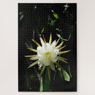 Puzzle Cactus Bloom