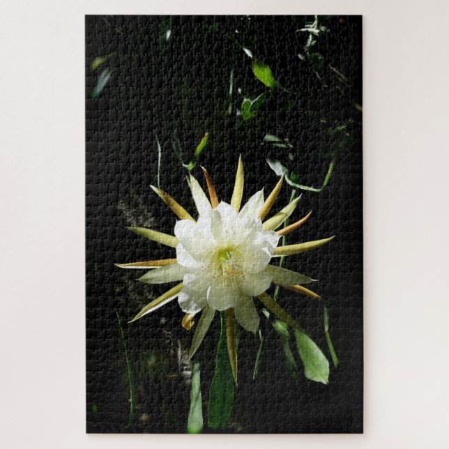 Puzzle Cactus Bloom (Vertical)